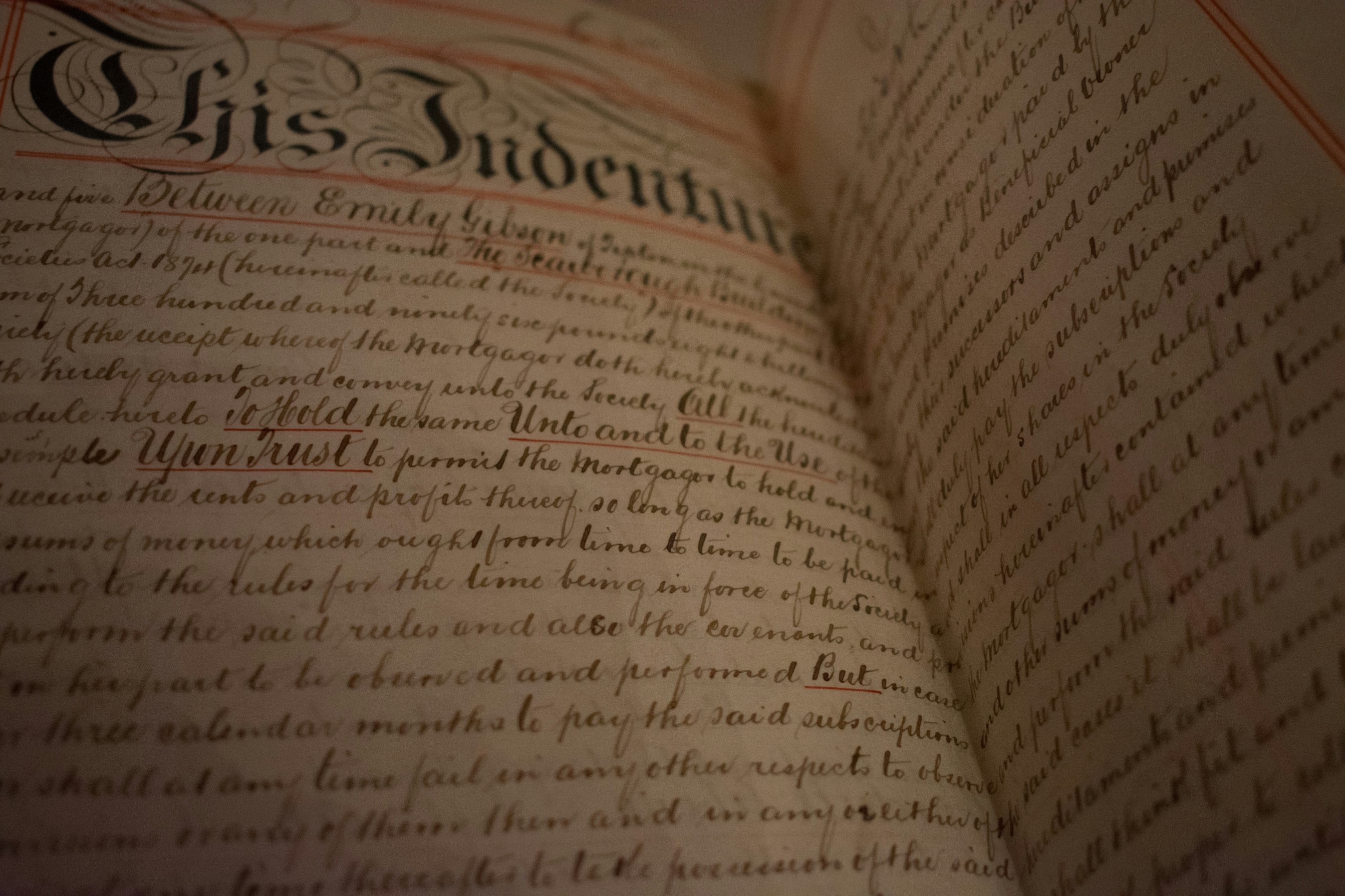 Manifesto Background